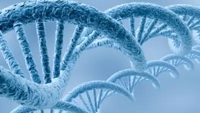 Zakon.kz, фото - Новости Zakon.kz от 25.06.2016 19:06