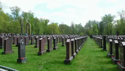 tayniymir.com, фото - Новости Zakon.kz от 30.06.2020 23:59