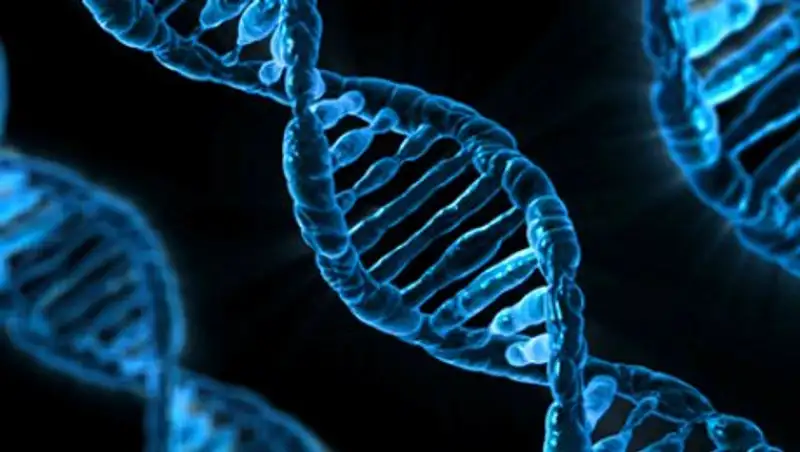 Разгадана главная тайна суперскрученной ДНК