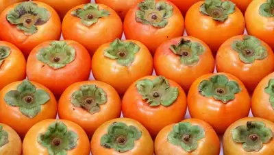 Zakon.kz, фото - Новости Zakon.kz от 24.11.2014 16:43