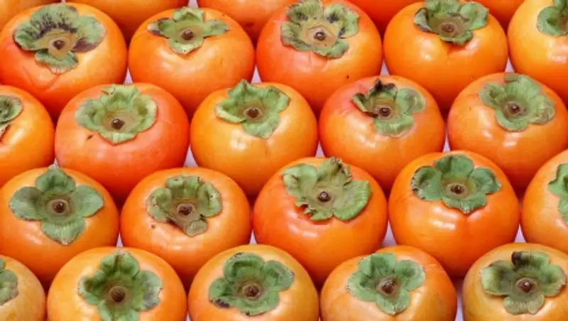 Более 18 тонн хурмы вернули в Казахстан 