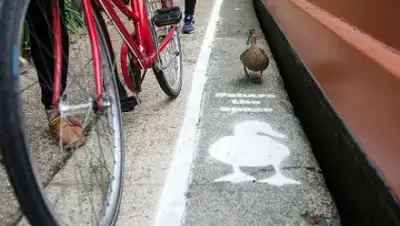 Zakon.kz, фото - Новости Zakon.kz от 24.05.2015 06:58