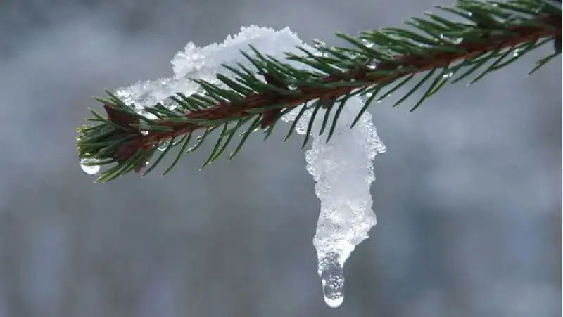 Первые паводки в Казахстане: затоплены села, разрушена школа