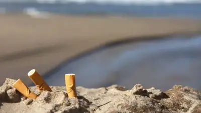 Zakon.kz, фото - Новости Zakon.kz от 02.11.2017 11:42