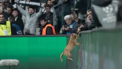 Фото: Sedat Suna / EPA, фото - Новости Zakon.kz от 16.03.2018 10:10