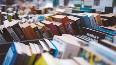 pixnio.com, фото - Новости Zakon.kz от 08.08.2019 17:26