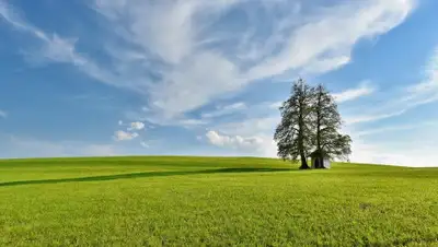 pixabay, фото - Новости Zakon.kz от 27.05.2020 06:02