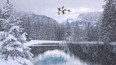 рк, погода, прогноз, казгидромет, фото - Новости Zakon.kz от 17.01.2022 15:34