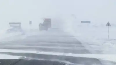 zakon.kz, фото - Новости Zakon.kz от 30.11.2020 17:56