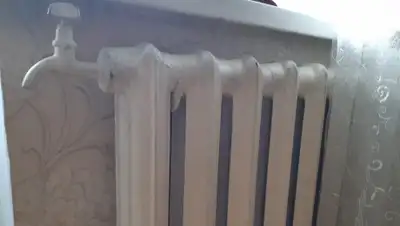 Zakon.kz, фото - Новости Zakon.kz от 03.07.2020 11:27