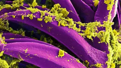 CNN, фото - Новости Zakon.kz от 18.08.2020 14:15