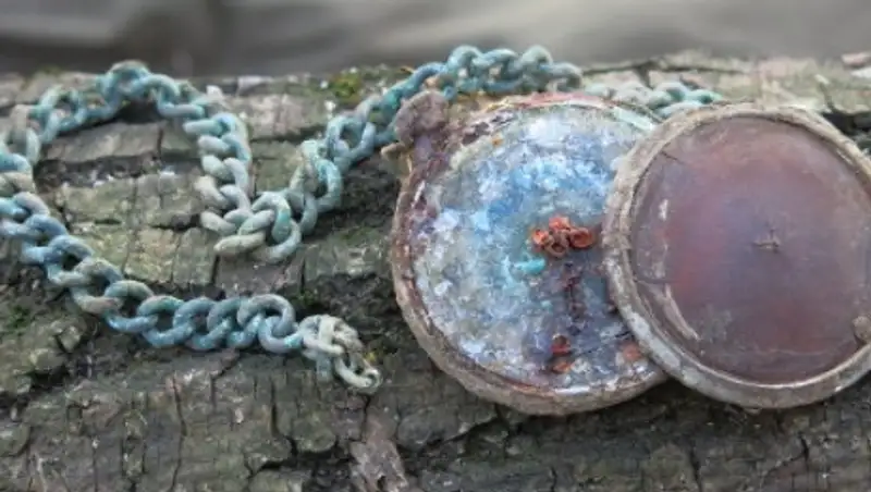 Останки погибшего в ВОВ солдата из Акмолинской области найдены в Новгородской области РФ