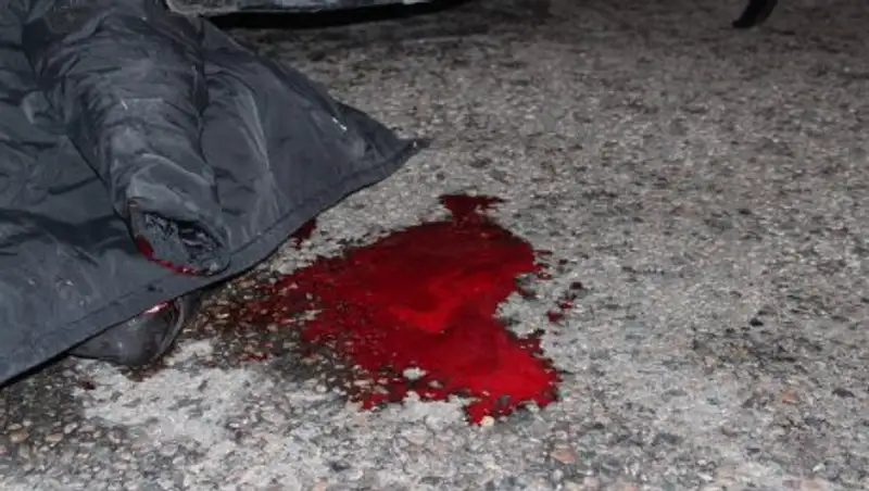 В Алматинской области нашли водителя, скрывшегося после смертельного наезда на пешехода