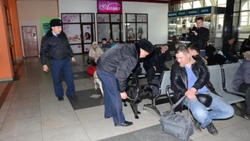 Кинологи ДВД на транспорте с начала года изъяли свыше 100 кг. наркотиков