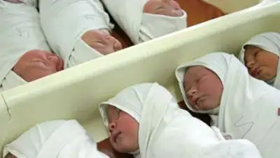 Zakon.kz, фото - Новости Zakon.kz от 29.07.2014 15:19