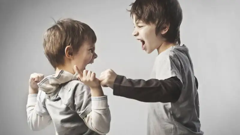 В полиции прокомментировали драку в школе, после которой мальчик попал в больницу