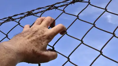 pixabay, фото - Новости Zakon.kz от 21.03.2019 06:06