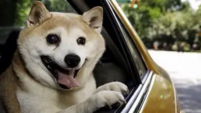 Zakon.kz, фото - Новости Zakon.kz от 09.06.2015 20:04