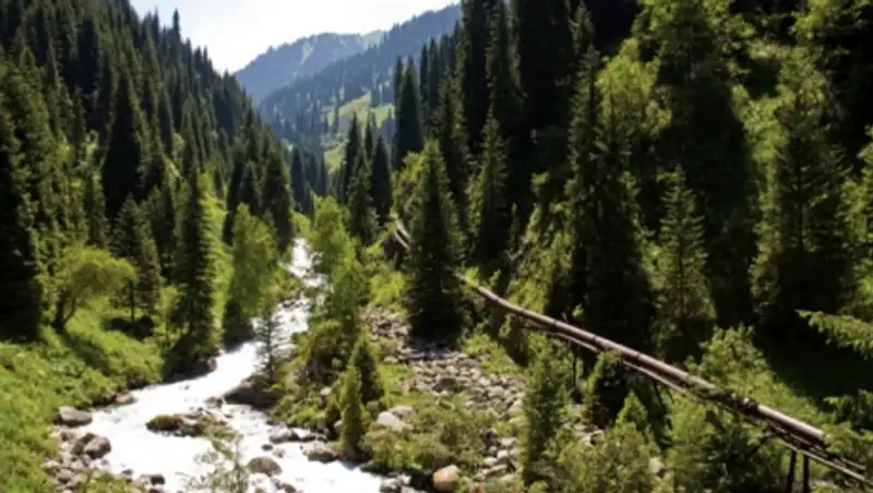 Ассенизаторы сливали фекалии в Алма-Арасанском ущелье