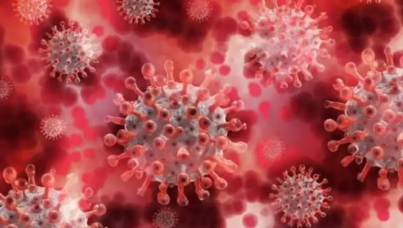 Обнаружен новый эпицентр Covid-19 в Китае