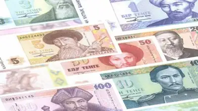 Kaz Credit Line, фото - Новости Zakon.kz от 08.11.2018 21:43