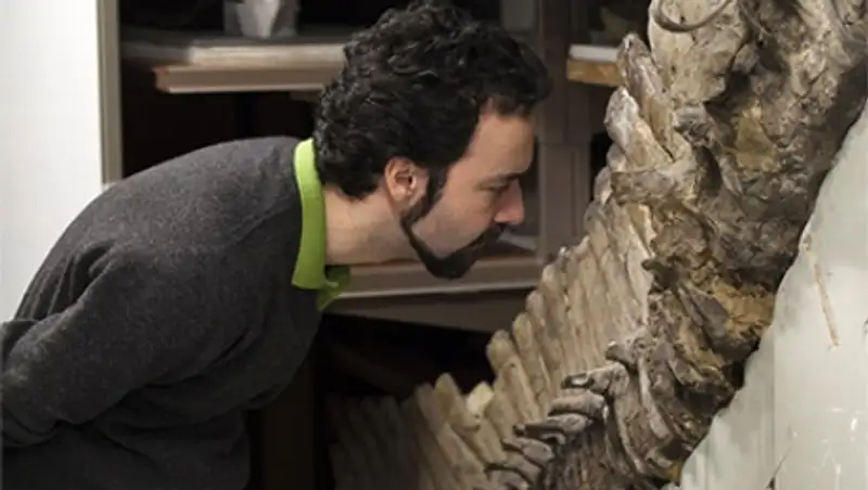 В костях динозавров сохранились клетки возрастом 75 миллионов лет