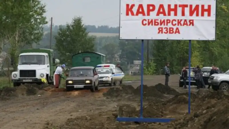 На Ямале в зоне вспышки сибирской язвы установят 40 тысяч знаков