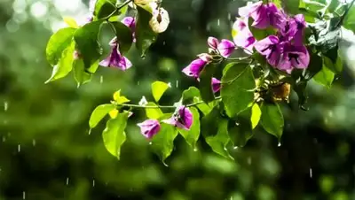 Zakon.kz, фото - Новости Zakon.kz от 12.07.2016 12:08