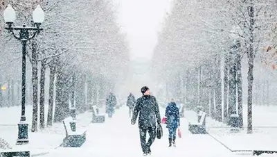 Zakon.kz, фото - Новости Zakon.kz от 06.02.2017 12:00