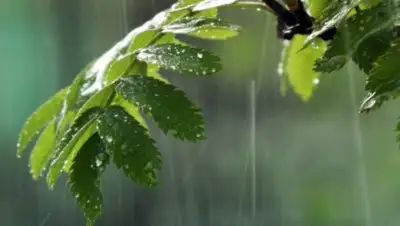 arnapress.kz, фото - Новости Zakon.kz от 26.04.2018 09:30