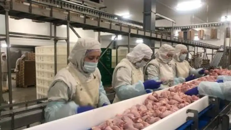 БРК презентовал финансовые инструменты для сельскохозяйственной отрасли