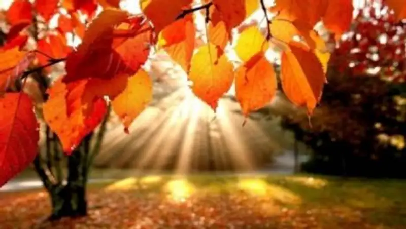 27 сентября на большей части Казахстана ожидается погода без осадков