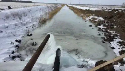 inform.kz, фото - Новости Zakon.kz от 27.03.2018 19:56