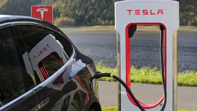 pixabay.com, фото - Новости Zakon.kz от 17.03.2019 07:05