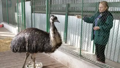 Zakon.kz, фото - Новости Zakon.kz от 17.02.2016 16:07