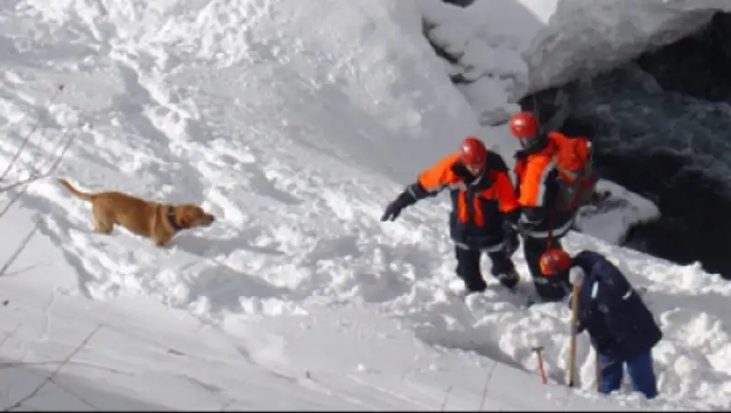 Две снежные лавины сошли на трассе в ВКО