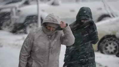 novoetv.kz, фото - Новости Zakon.kz от 12.11.2018 09:31