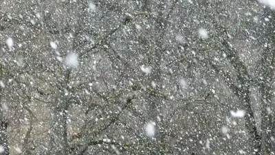 На большей части Казахстана ожидаются сильный дождь и снег, фото - Новости Zakon.kz от 02.02.2023 15:58