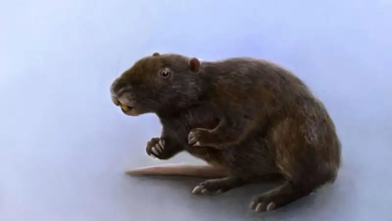 В Сибири нашли байдабатыра