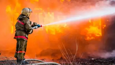 MIGnews, фото - Новости Zakon.kz от 22.03.2018 23:32