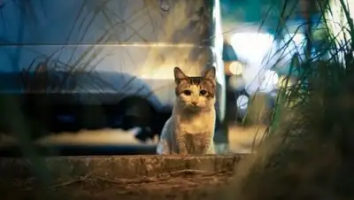 Zakon.kz, фото - Новости Zakon.kz от 08.07.2016 21:03