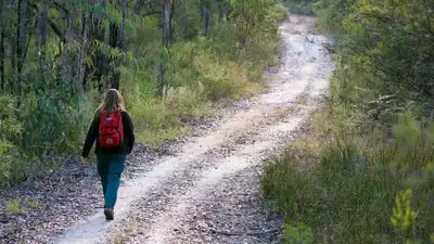 Австралийка, потерявшись в густом лесу, выжила благодаря вину и леденцам