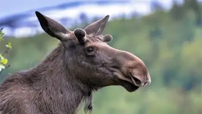 Zakon.kz, фото - Новости Zakon.kz от 27.05.2016 03:04