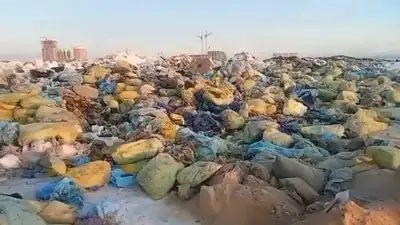 В Астане возле вокзала устроили свалку медотходов, фото - Новости Zakon.kz от 26.12.2022 16:08