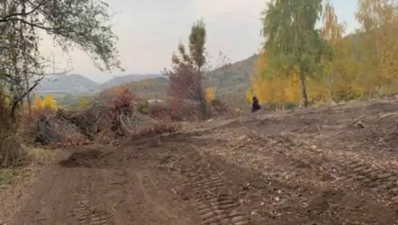 Строящаяся дорога на Кок-Жайлау возмутила алматинку