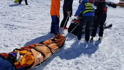 © FB / Ministry of Internal Affairs of Georgia, фото - Новости Zakon.kz от 16.03.2018 21:09