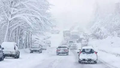 kolesa.ru, фото - Новости Zakon.kz от 29.01.2021 19:53