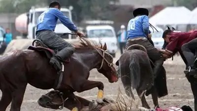 Zakon.kz, фото - Новости Zakon.kz от 04.09.2016 04:52