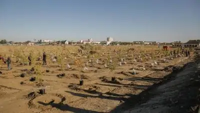 УВП Атырау, фото - Новости Zakon.kz от 02.10.2020 15:16