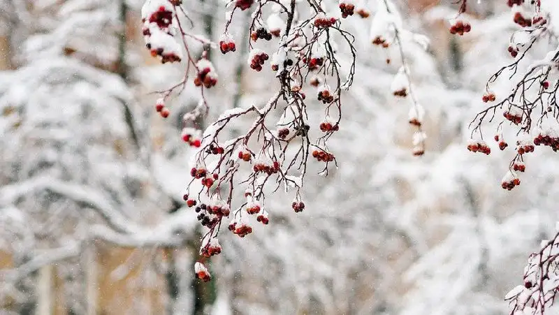 Синоптики рассказали, какая погода ожидает казахстанцев 8 февраля